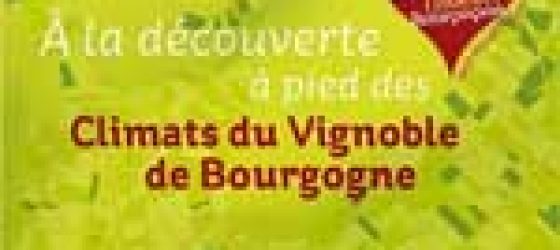 Bourgogne Rando Vignes