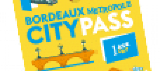 Bordeaux Métropole City pass 1 jour