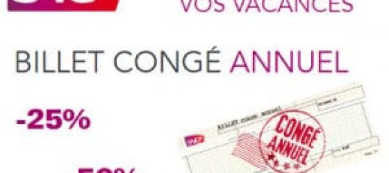 Billet annuel de train SNCF pour les vacances