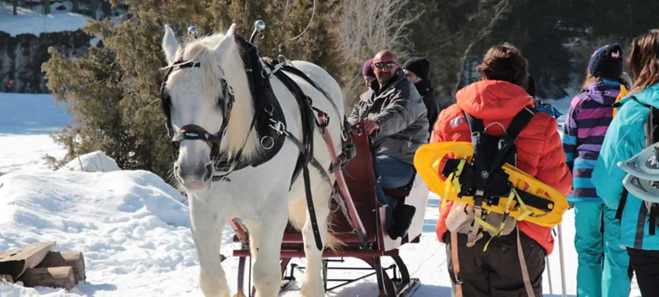 Raquette à Villard de Lans