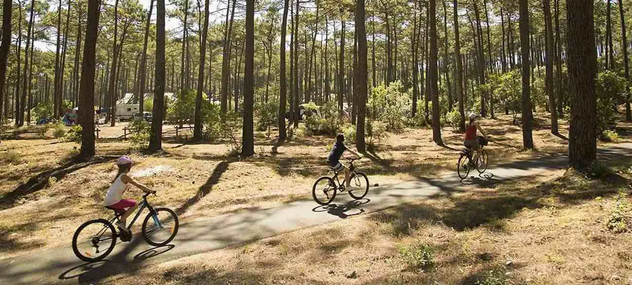 Location de vélo au Camping Indigo Landes Sud Saint-Michel Escalus