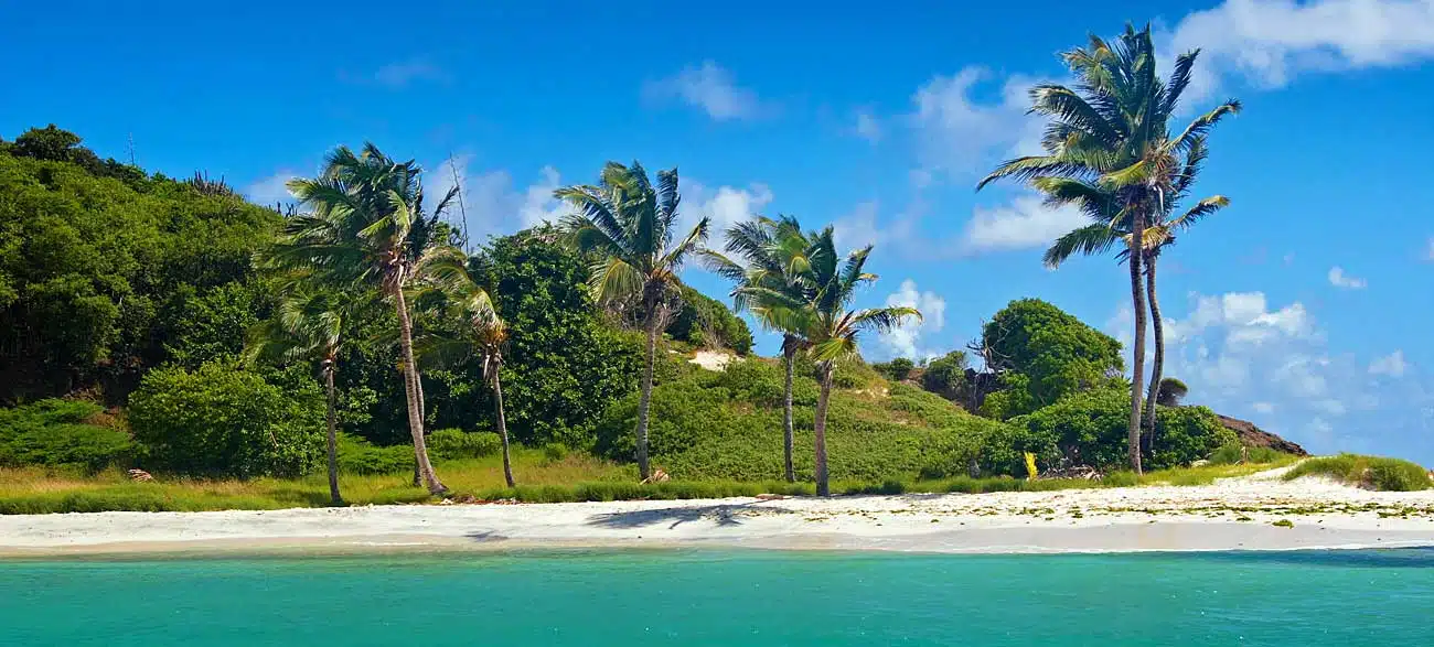 Plage Tobago Iles Grenadines