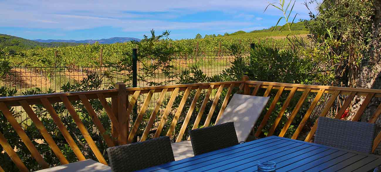 Vue vigne Camping à Ramatuelle à proximité du golfe de St Tropez dans le Var